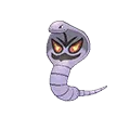 Arbok - #024