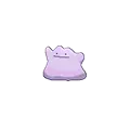 Ditto - #132