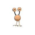 Doduo - #084