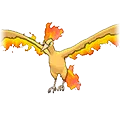 Moltres - #146