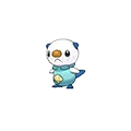 Oshawott - #501