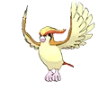 Pidgeot - #018