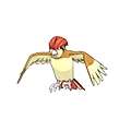 Pidgeotto - #017