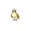 Pidgey - #016