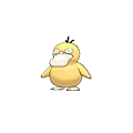 Psyduck - #054