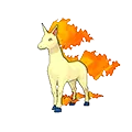 Rapidash - #078