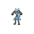 Riolu - #447