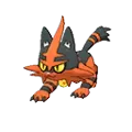 Torracat - #726