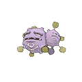 Weezing - #110