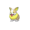 Yamper - #835