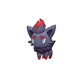 Zorua - #570